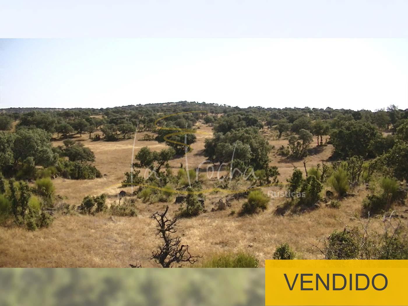 Finca de pasto y berrocal, cercada - 001XTR - Rústicas La Trocha